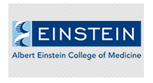 Einstein College of Medicine Website 