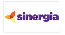 Sinergia NY Website